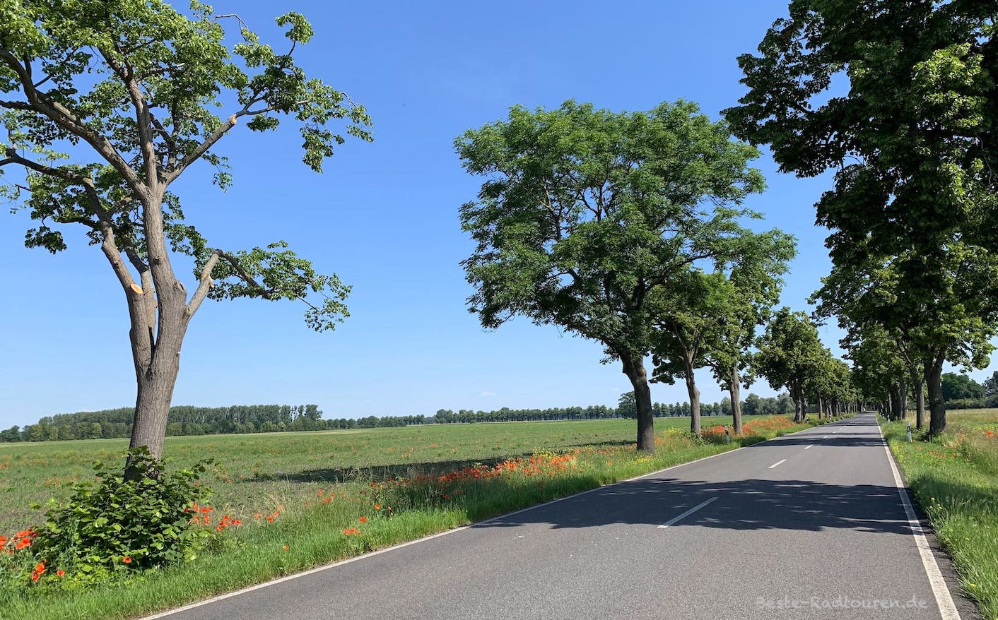 Landstraße zwischen Nauen und Hertefeld: Ruhig und schöne Landschaft