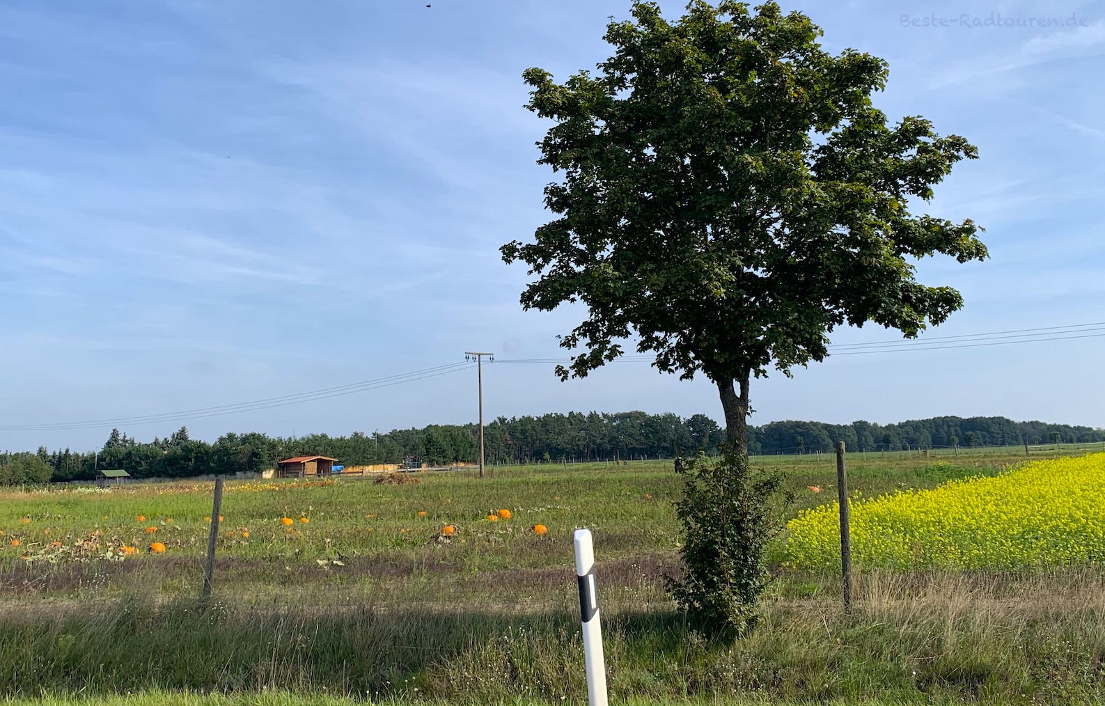 Landschaft und Landwirtschaft bei Düben, Ortsteil von Coswig (Sachsen-Anhalt)