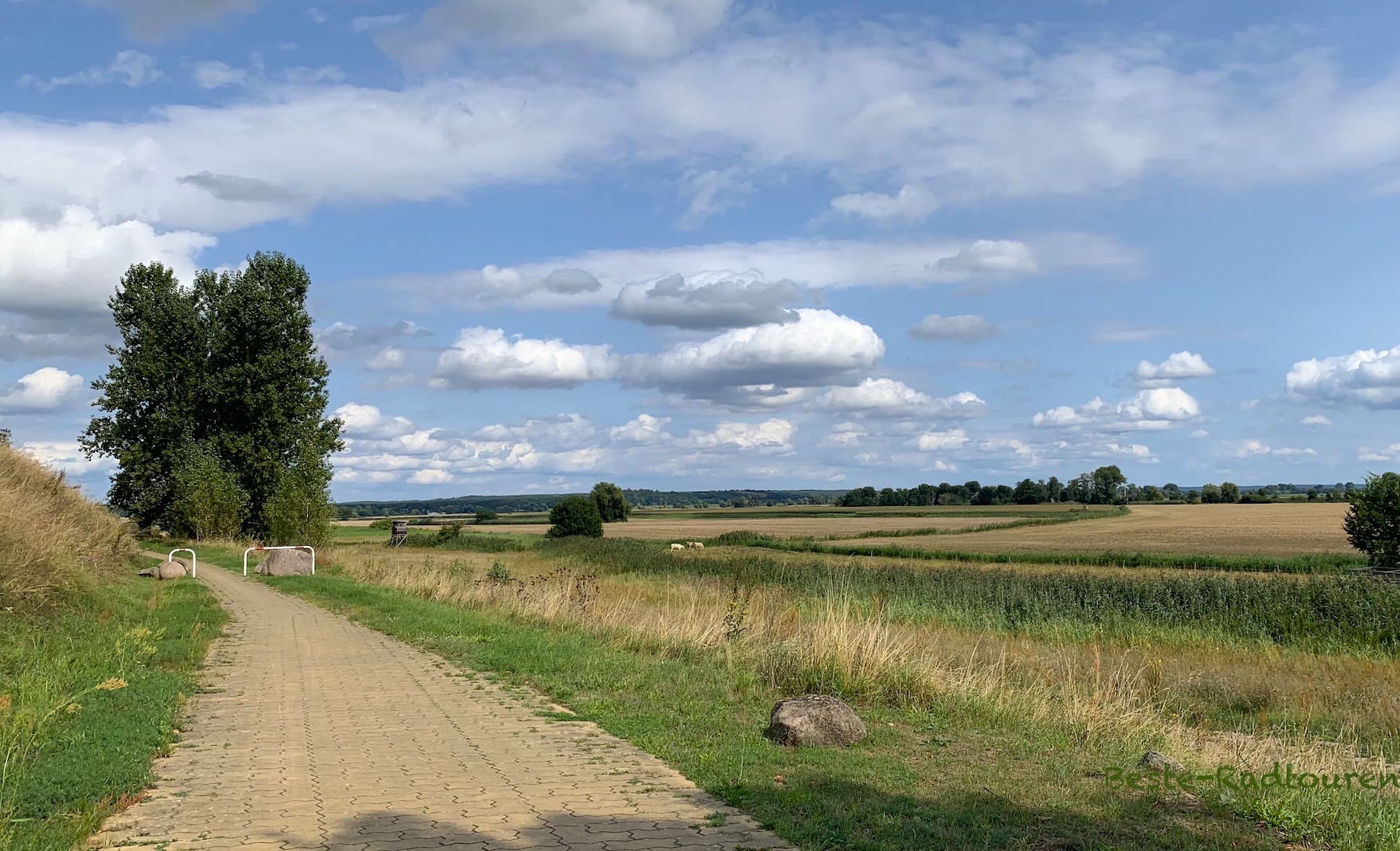 Oder-Havel-Radweg bei Gabow zwischen Schiffmühle und Hohenwutzen, Oderbruch
