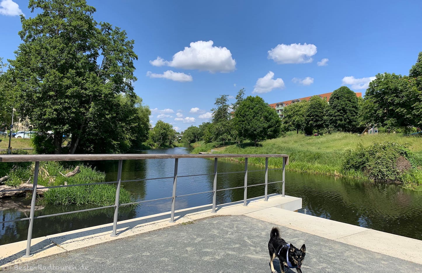 In Eberswalde: Teil der langen Stadtpromenade am Finowkanal