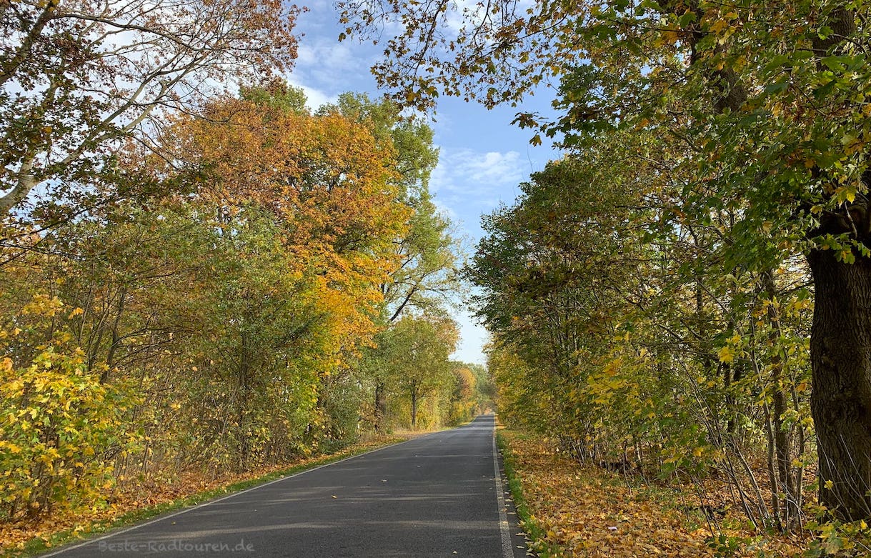 Börnicker Landweg bei Birkenhöhe, Foto im Herbst