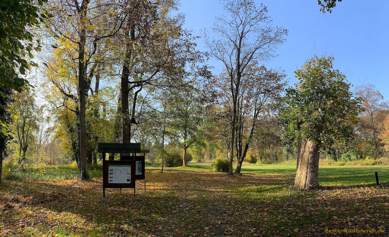 Schlosspark bzw. Gutspark Trampe nahe der Burgruine Breydin
