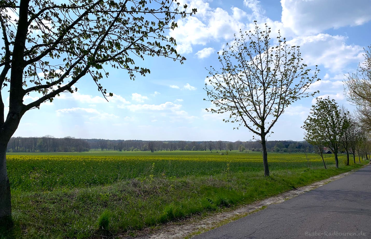 Foto vom Radweg im Naturpark Nuthe-Nieplitz zwischen Blankensee und Stücken