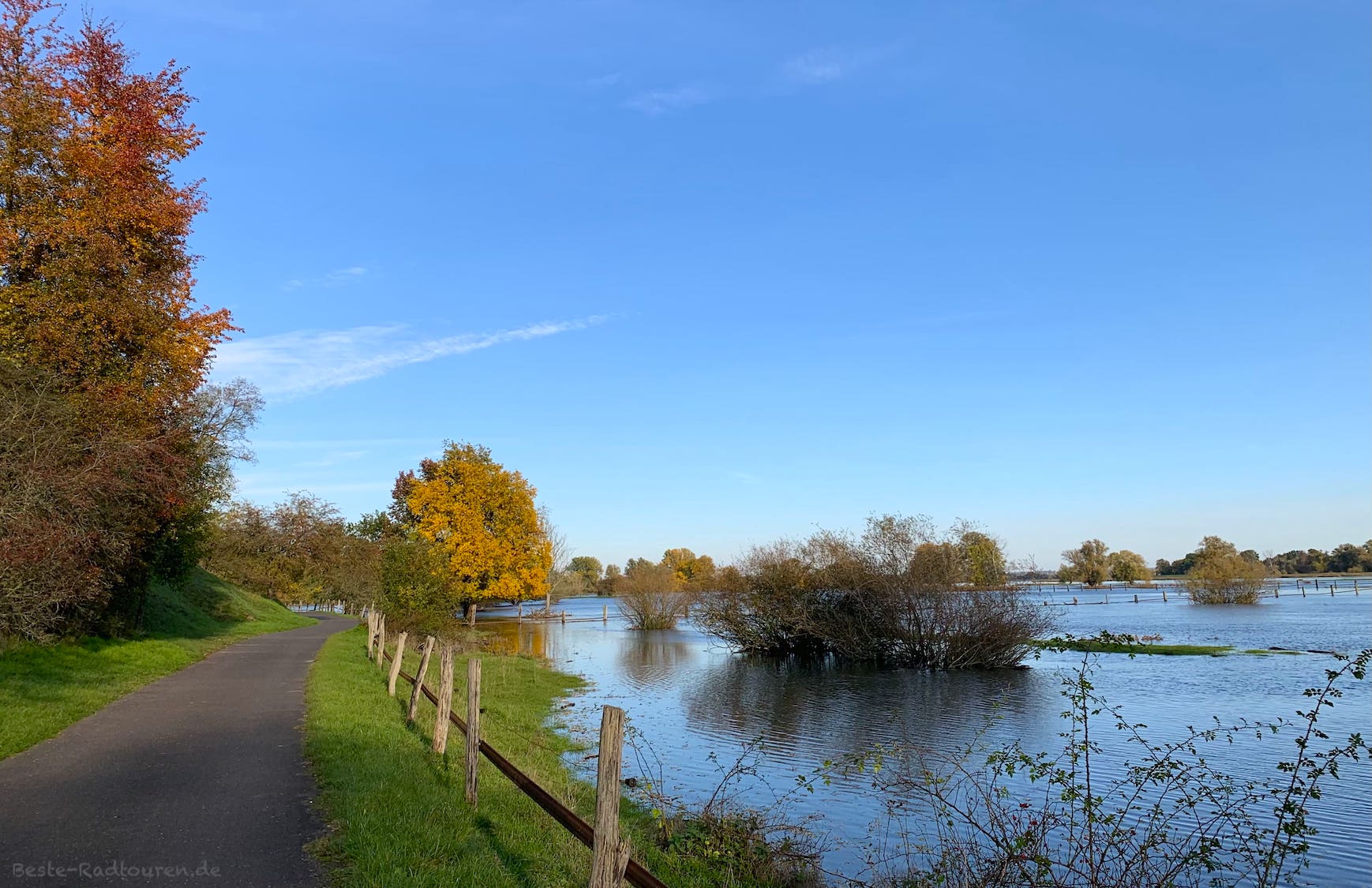 Foto vom Oder-Radweg aus: Oder-Hochwasser