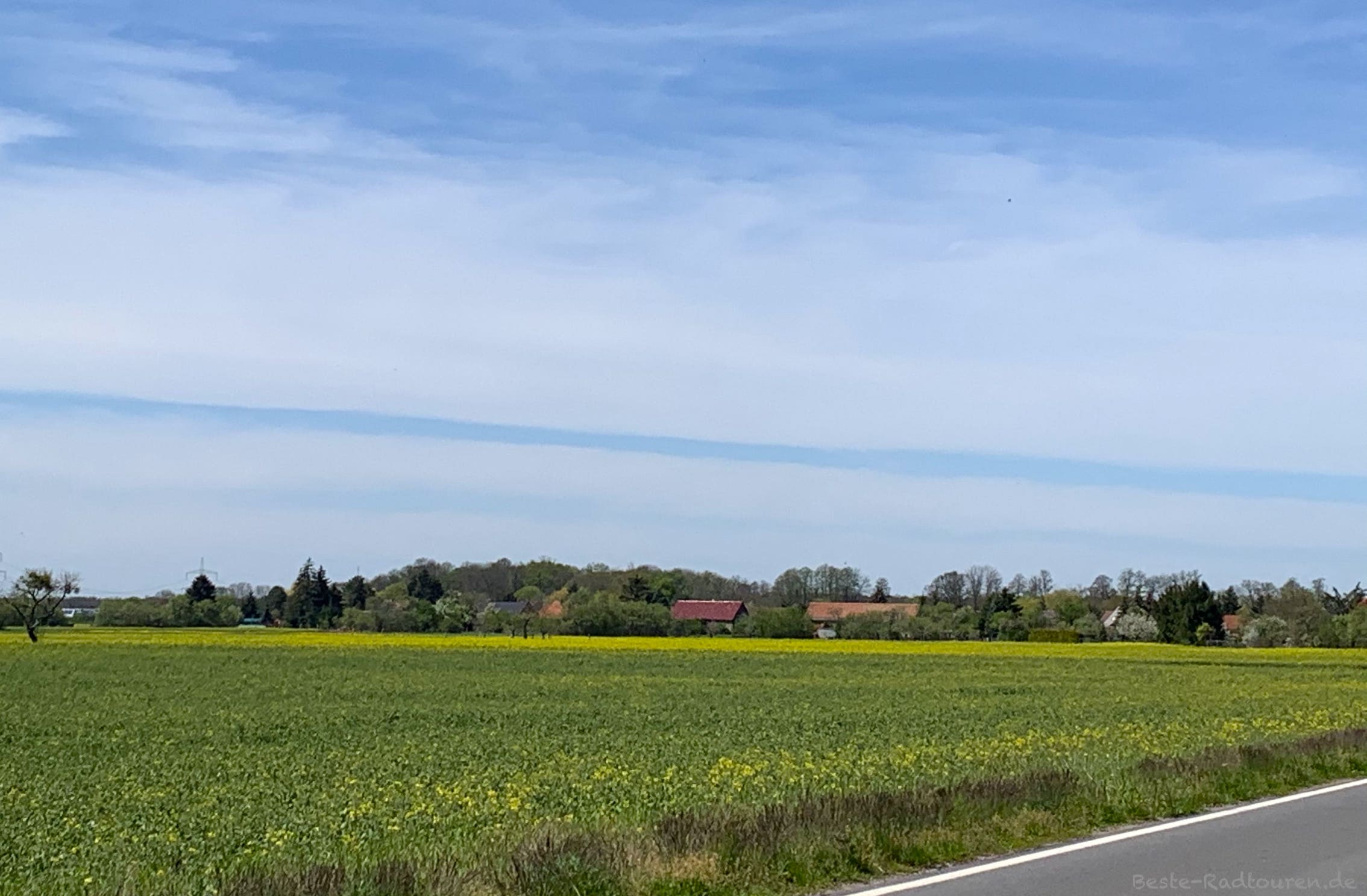 Foto vom Radweg aus: Landschaft zwischen Rietzneuendorf und Spreewaldring