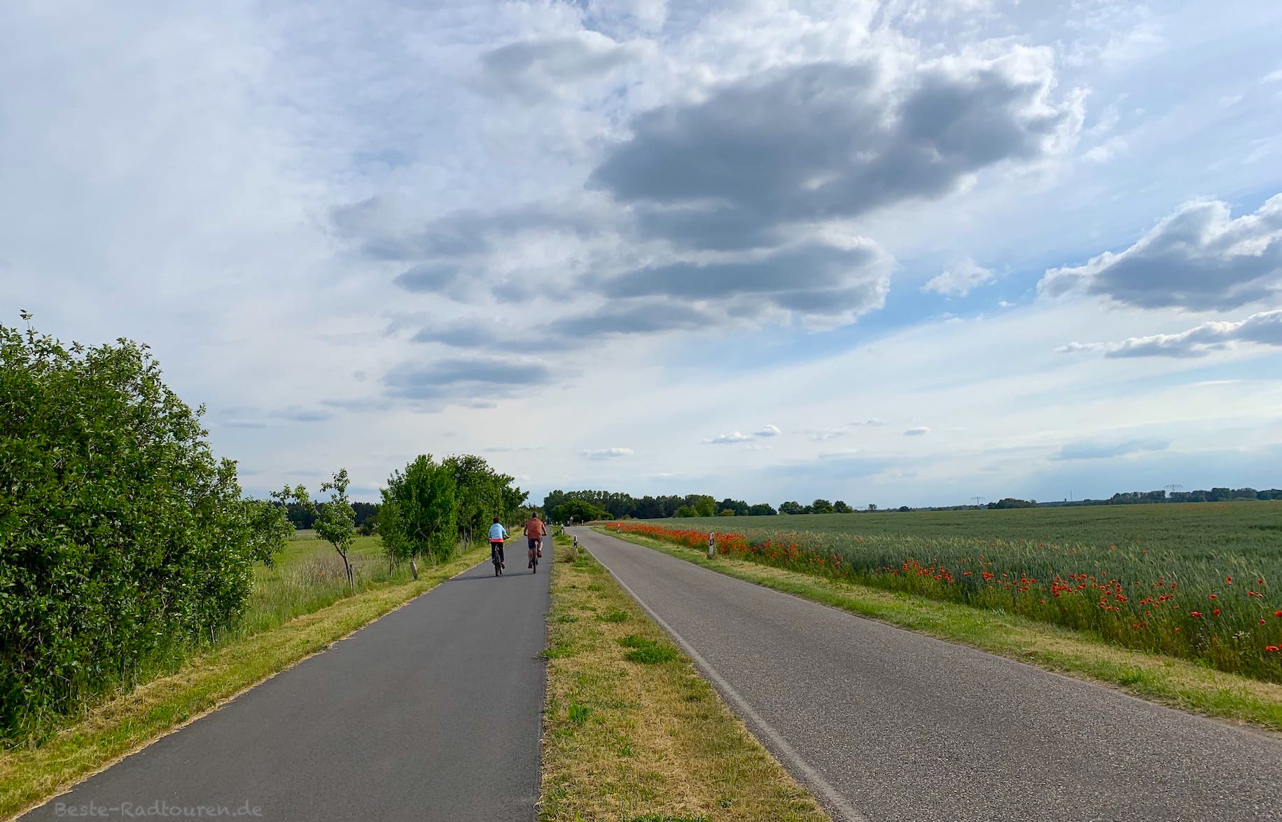 Foto vom Radweg aus: Fläming-Skate zwischen Kolzenburg und Kloster Zinna