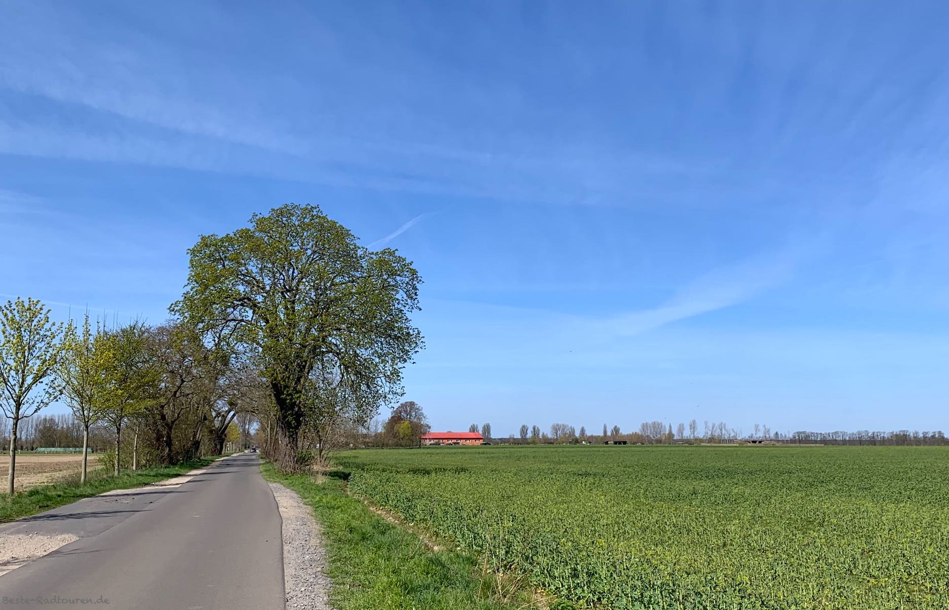 Foto vom Radweg aus: Landschaft Rhinluch bei Theresiendorf-Wall
