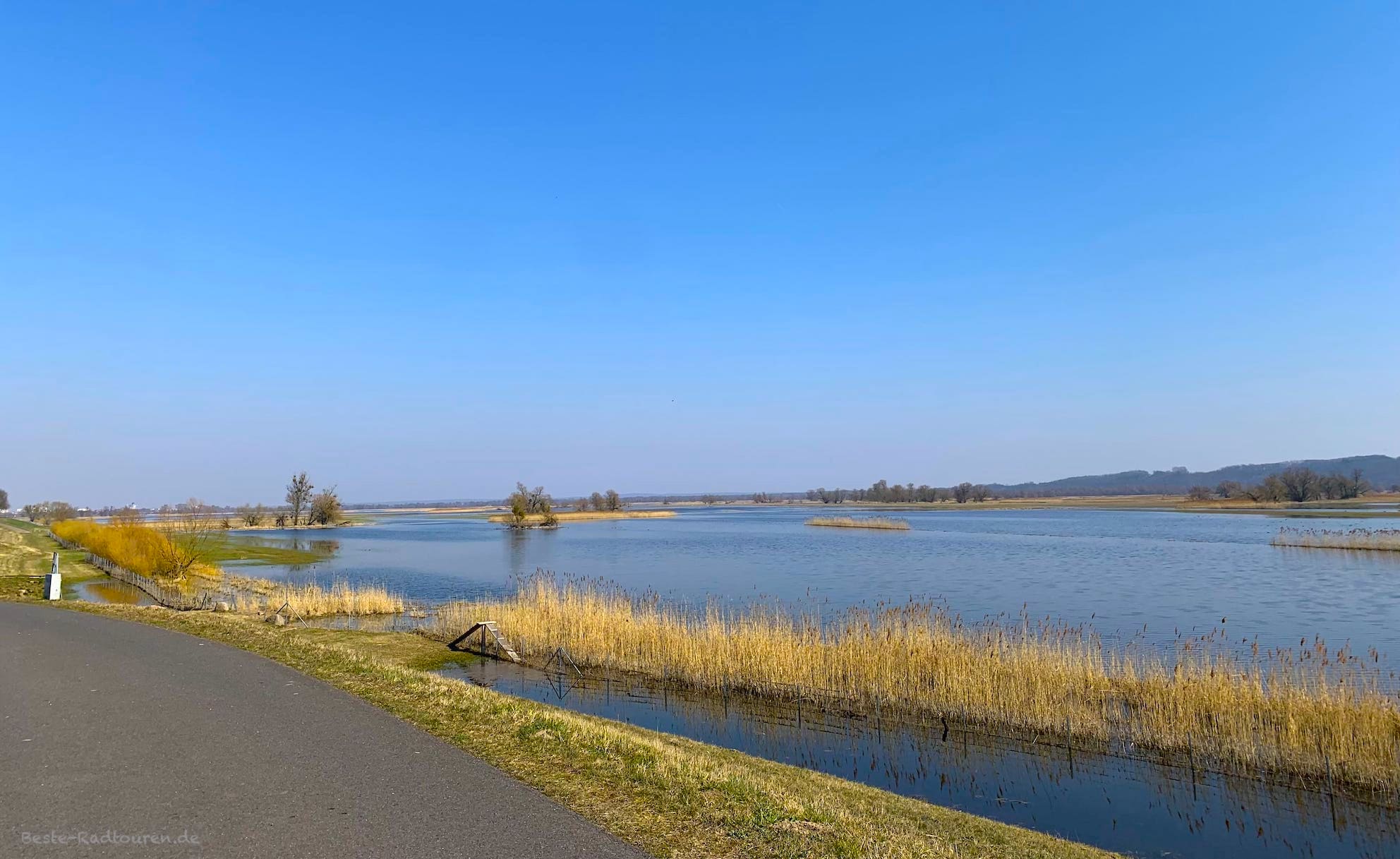 Foto vom Oder-Radweg aus: Nationalpark Unteres Odertal (hier zwischen Zützen und Criewen)