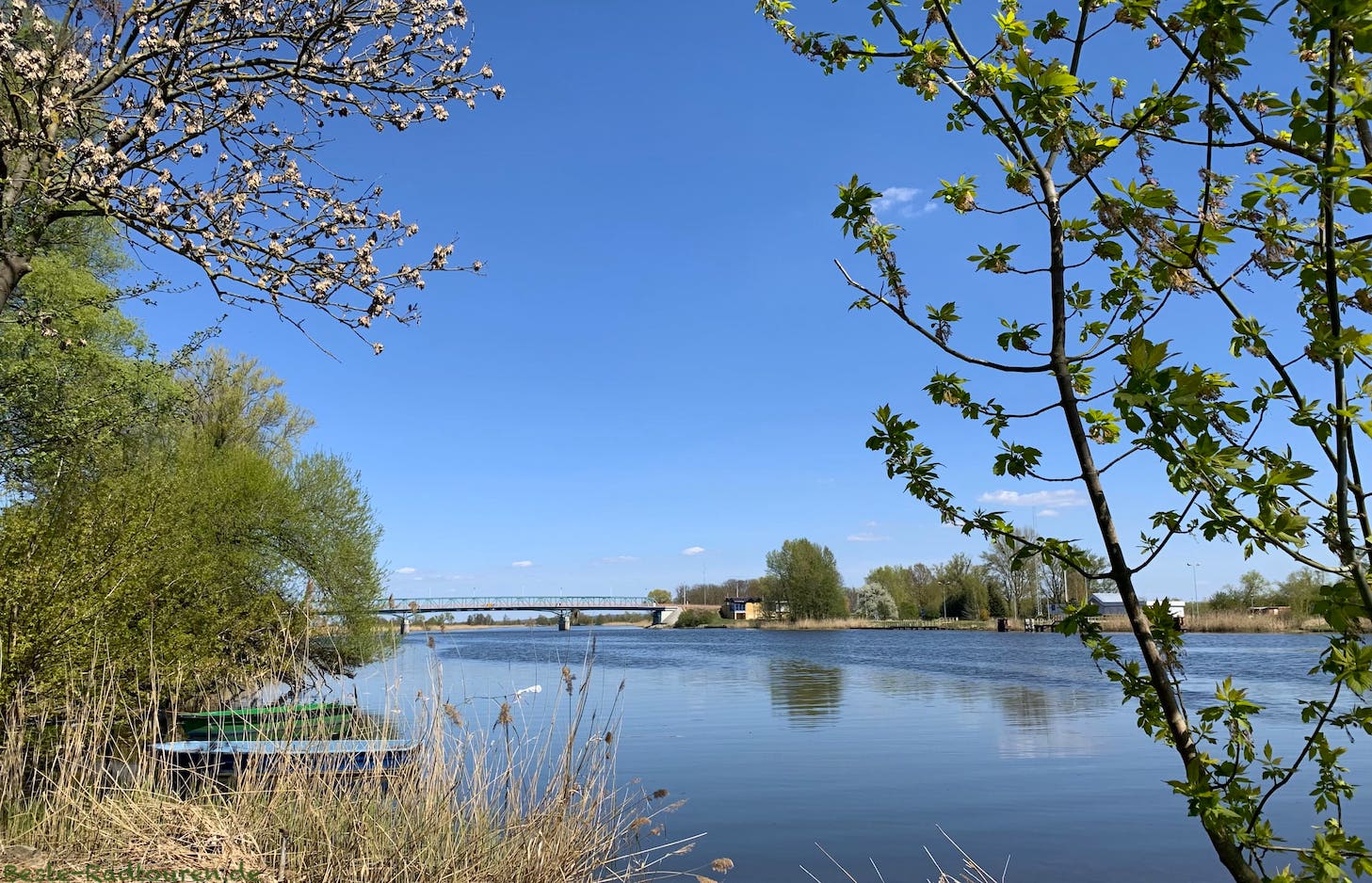 Foto vom Oderradweg aus: Oder-Ufer bei Mescherin, Brücke nach Gryfino / Greifenhagen (Polen)