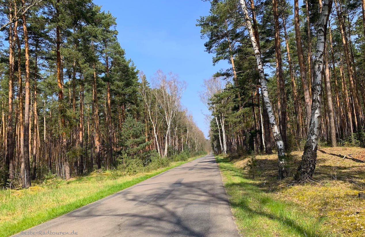 Radweg von Storkow über Lebbin nach Markgrafpieske