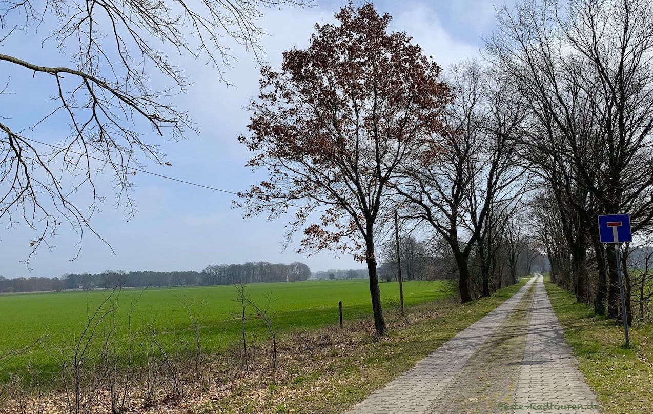Foto vom Radweg aus: Plattenweg zwischen Busch und Groß Schauen Richtung Storkow