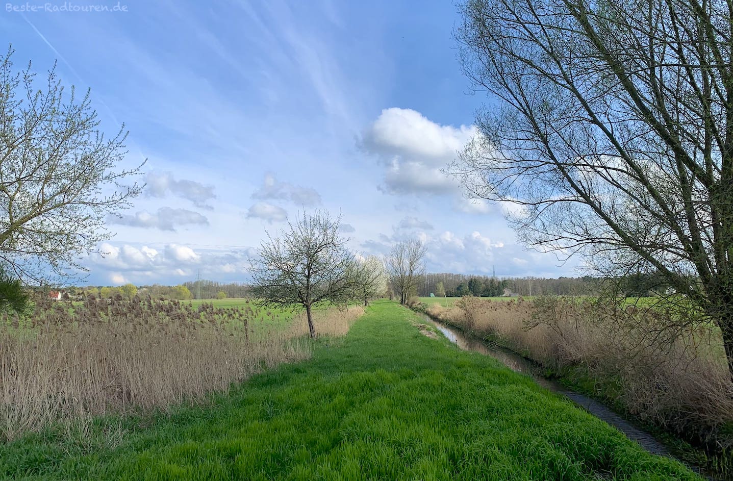 Foto vom Spreeradweg aus: Landschaft bei Neu-Hartmannsdorf (Oder-Spree)