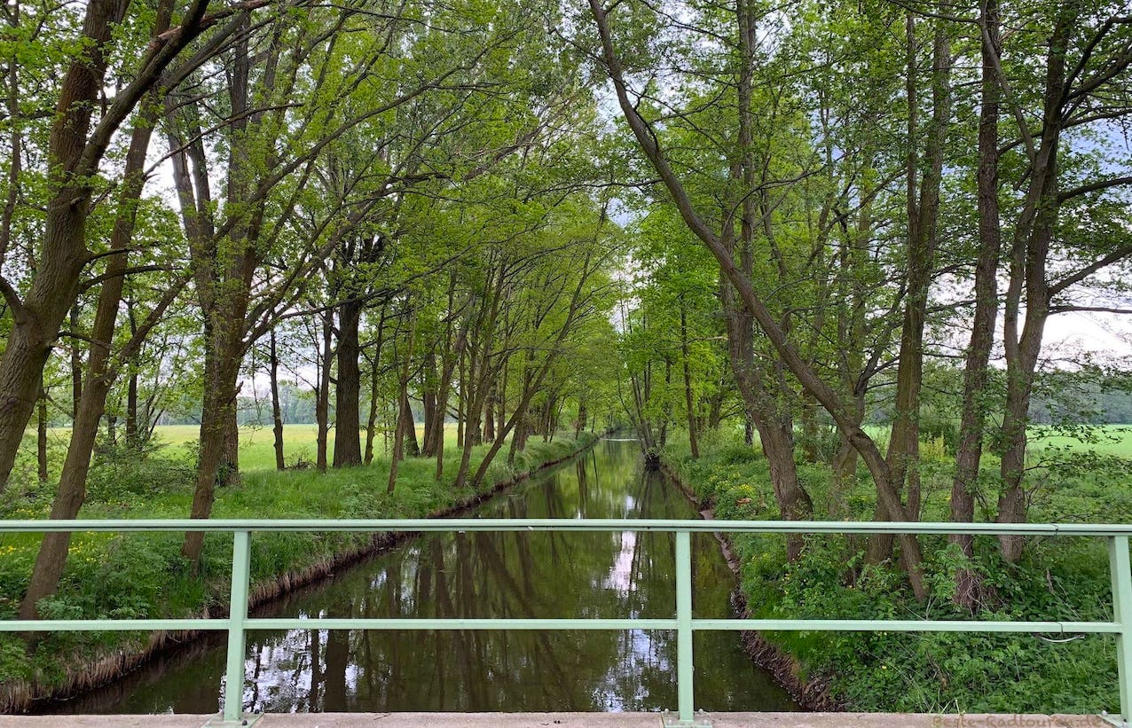 Foto vom Radweg aus: Greifenhainer Fließ zwischen Babow und Märkisch Heide