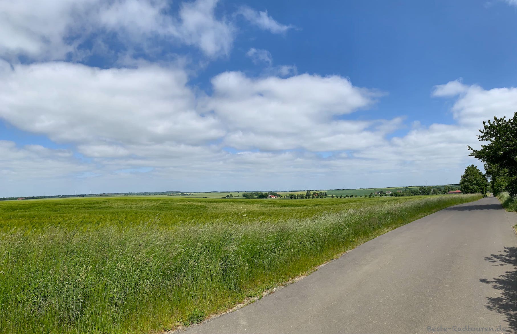 Foto vom Oder-Radweg aus: Oderradweg zwischen Schönfeld und Penkun