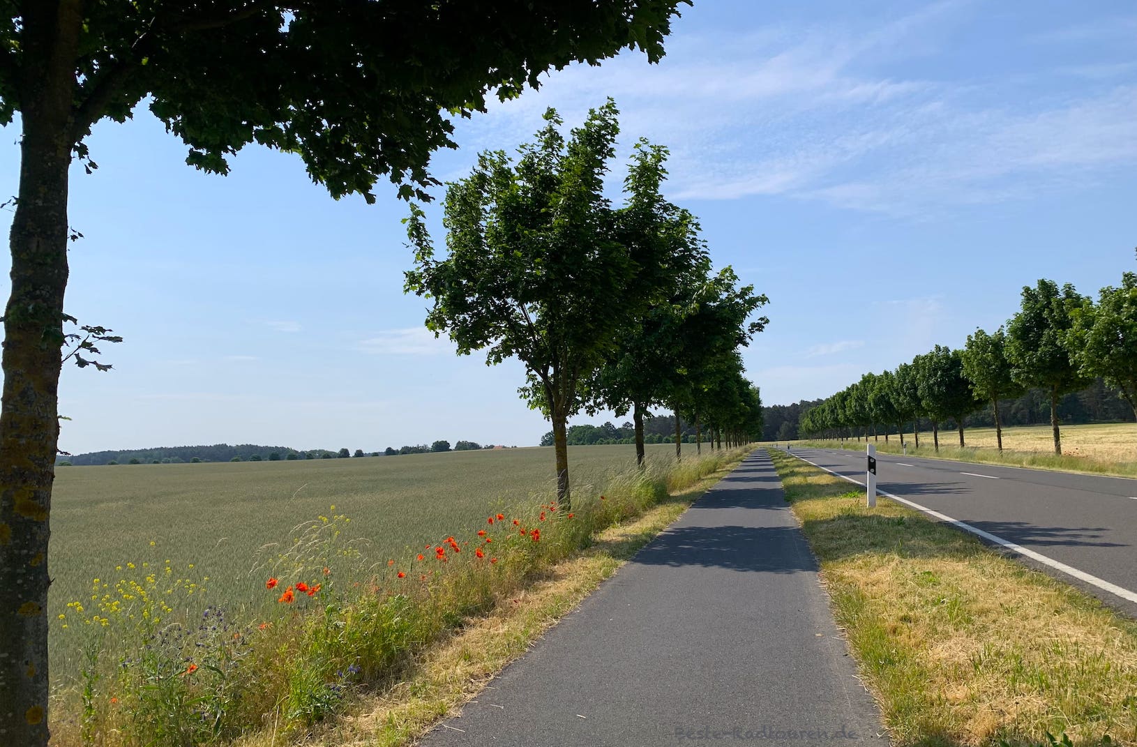 Radweg zwischen Wildenbruch und Fresdorf (Gemeinde Michendorf)