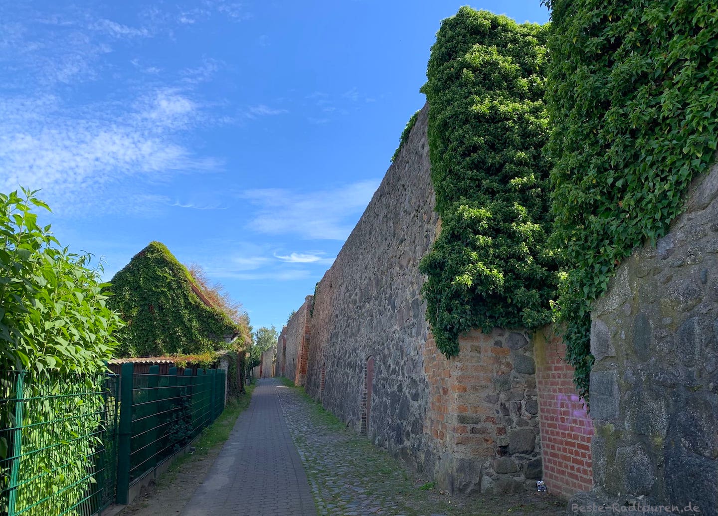 Gransee: Stadtmauer Süd, Foto vom Fußweg und Radweg aus