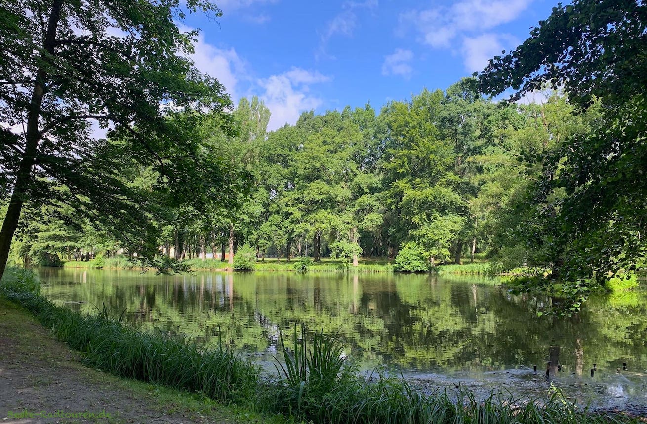Jüterbog Schlosspark, Teich - Foto vom Osten aus