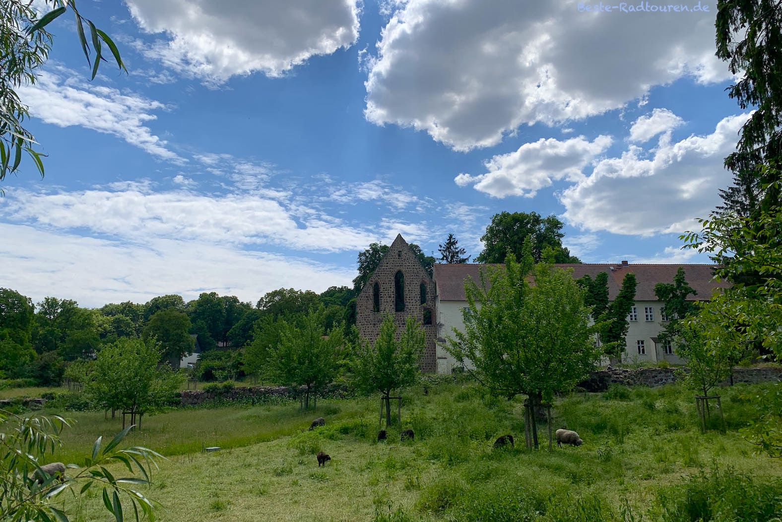 Kloster Zehdenick, Außenansicht mit Schafen und Klostergarten, Foto vom Norden her