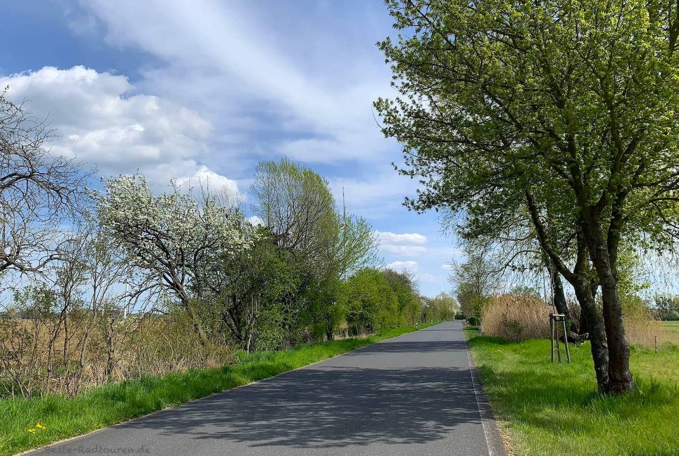 Foto vom Gurken-Radweg aus: Landschaft zwischen Waldow und Schönwalde