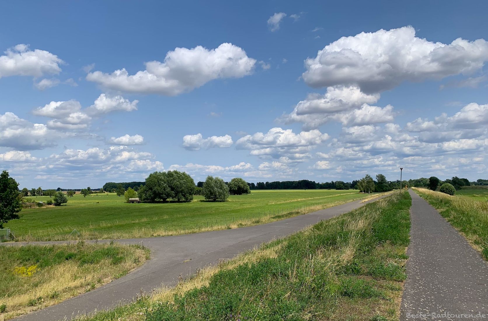 Foto vom Oder-Radweg aus: Landschaft zwischen Reitwein und Lebus