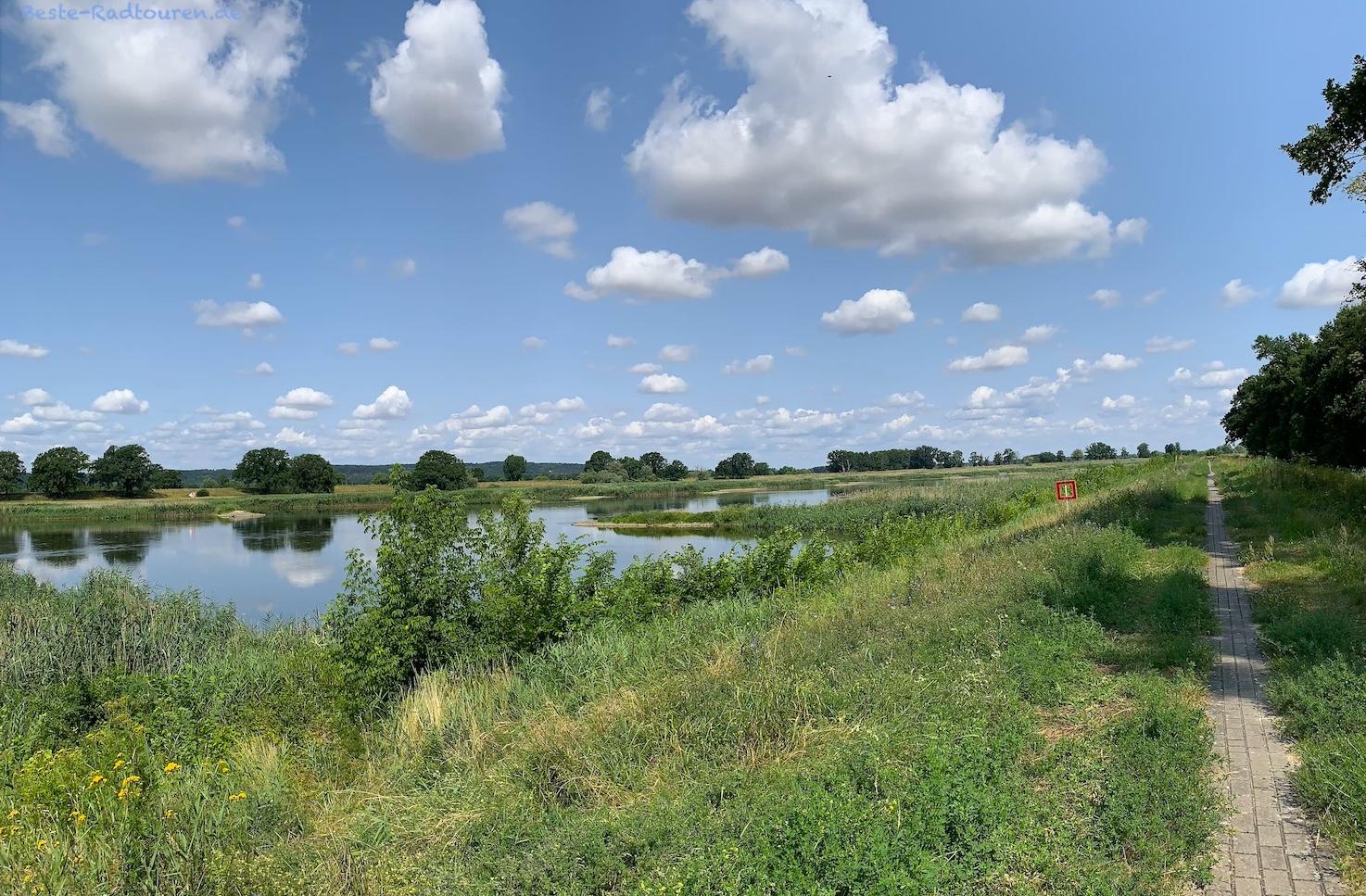 Foto vom Oderradweg in Polen aus: Die Oder bei Owczary südlich von Göritz (Gorzyca)
