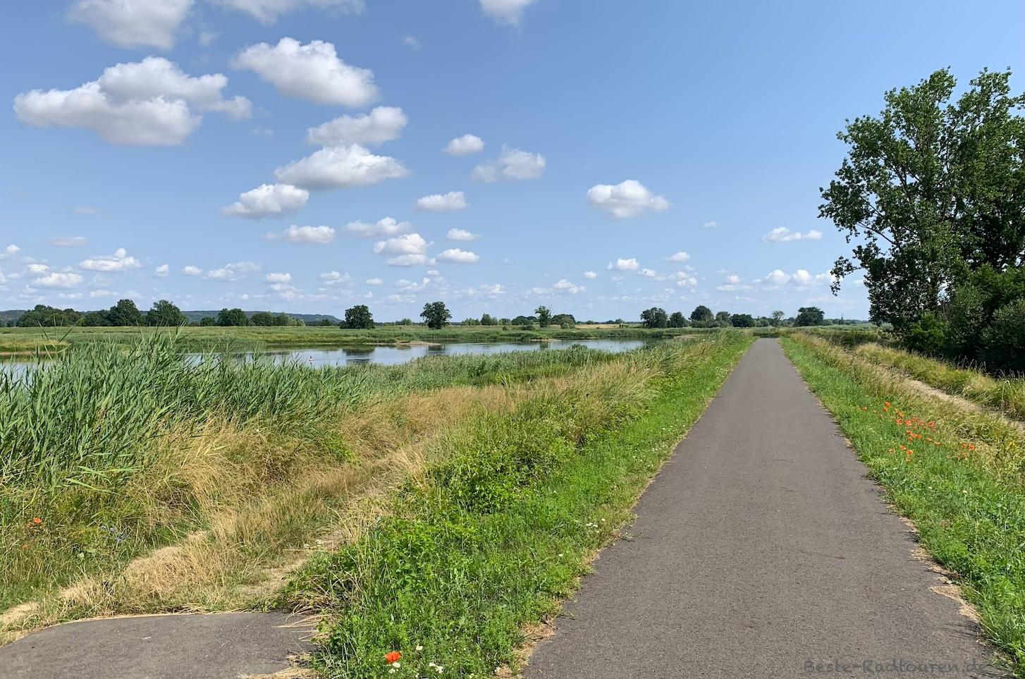 Foto vom Oderradweg in Polen aus: Radweg an der Oder bei Plawidlo (Wiesen-Vorwerk)