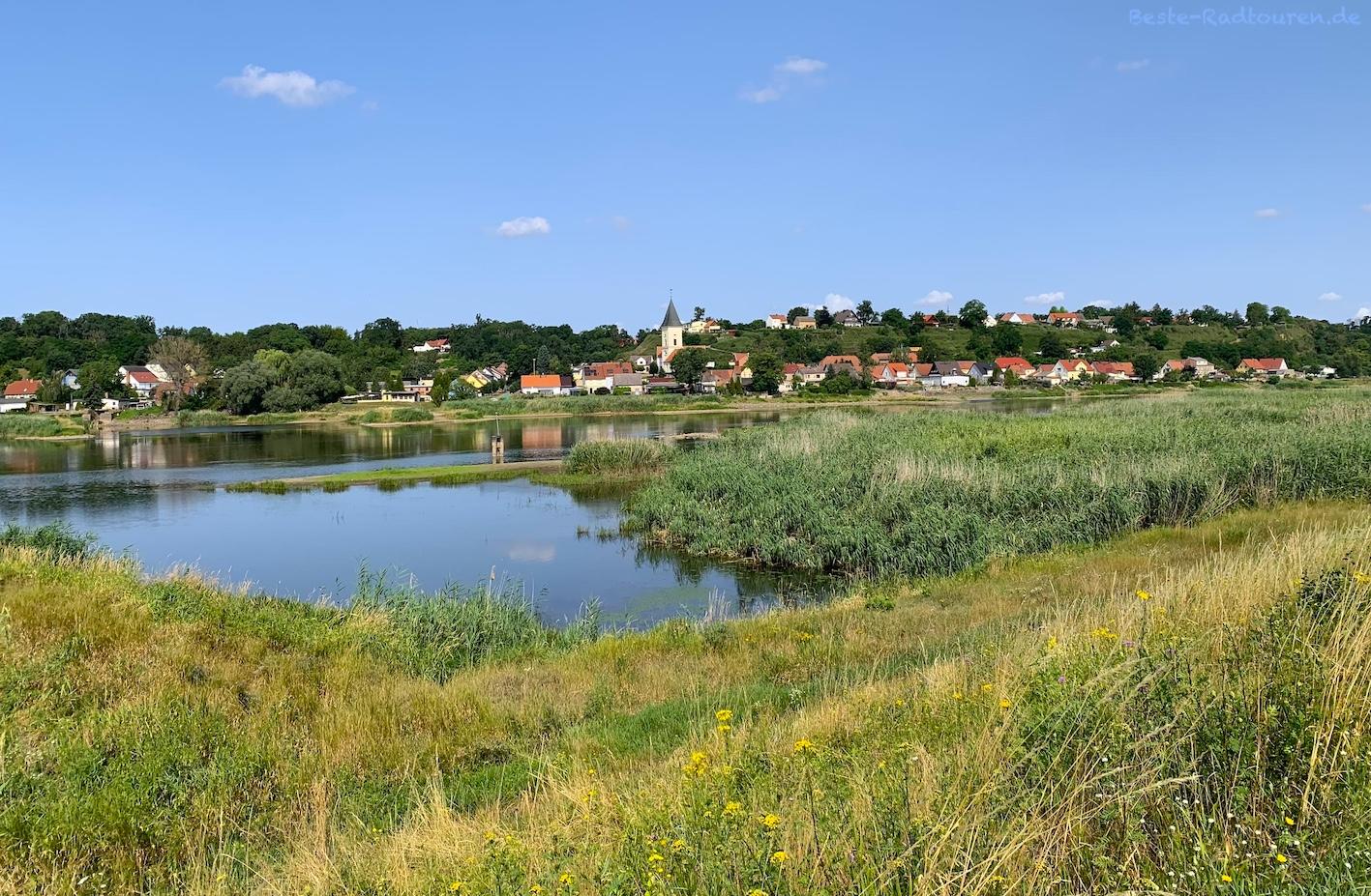 Foto vom Oderradweg in Polen aus: Blick über die Oder nach Lebus