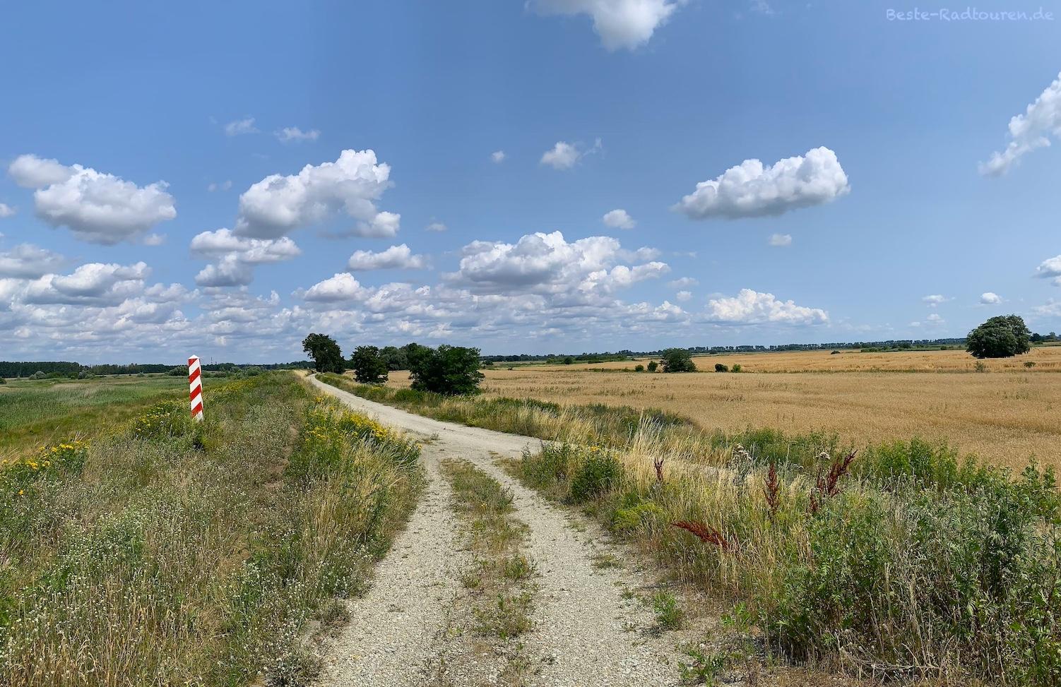 Foto vom Oder-Radweg Polen aus: Landschaft südlich von Küstrin