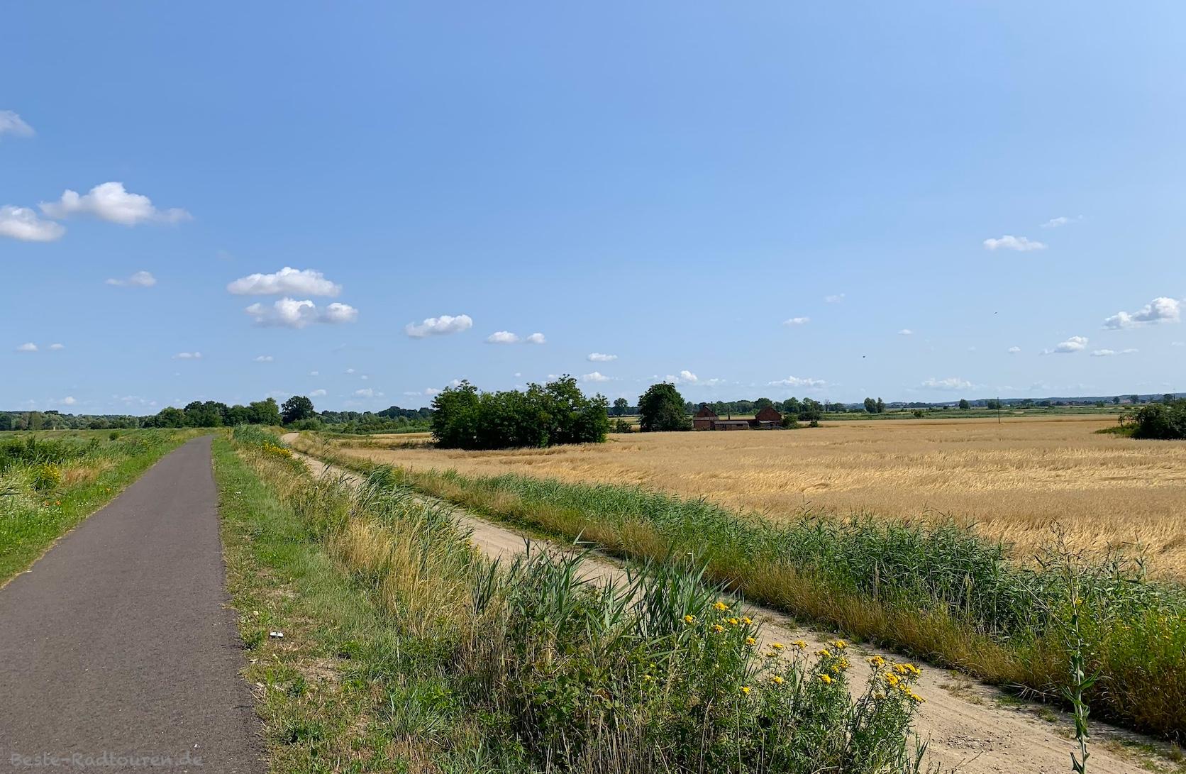 Foto vom Polen-Oderradweg aus: Landschaft südlich von Neu Lebus / Nowy Lubusz