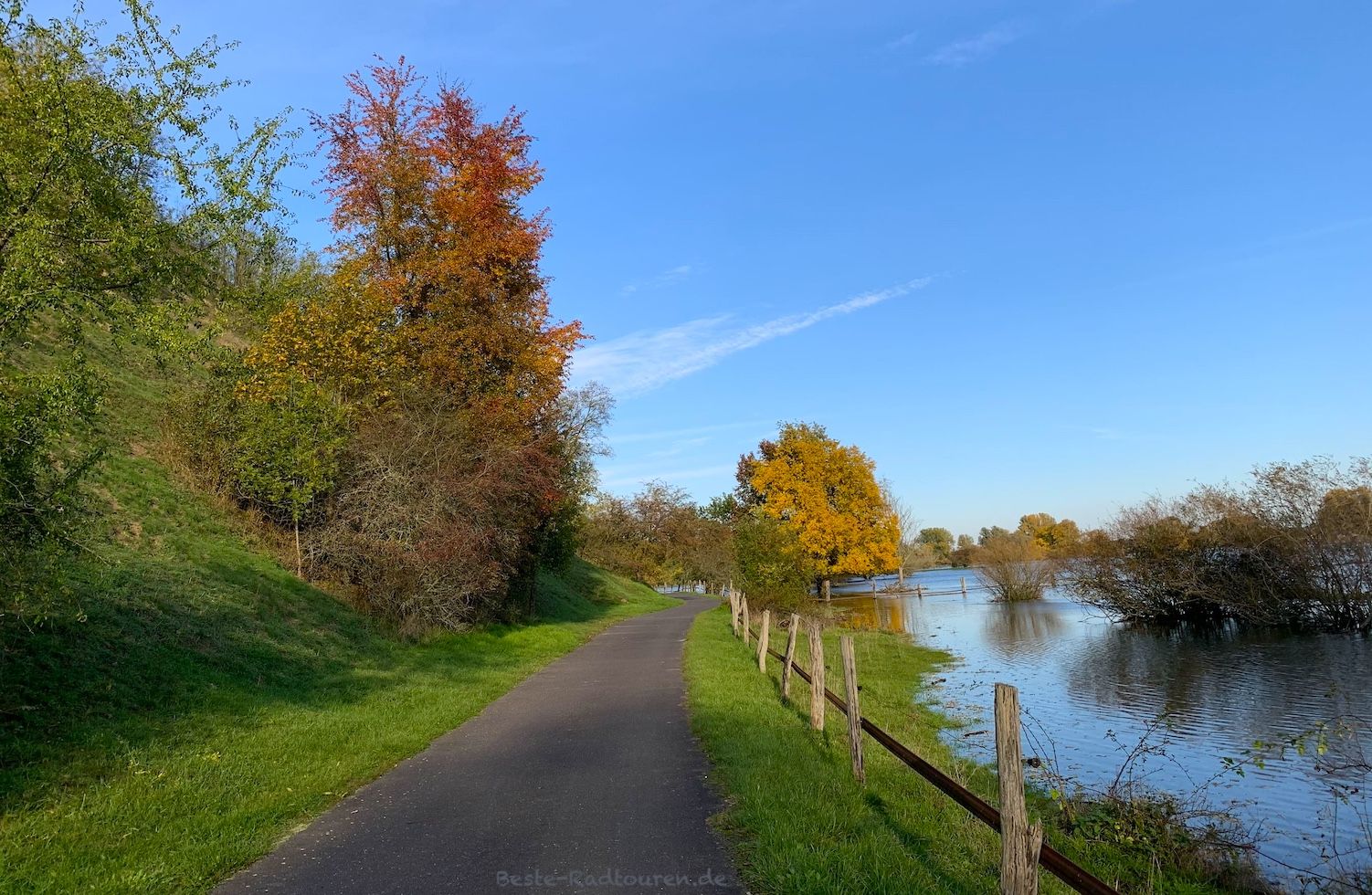 Foto vom Oder-Radweg aus: Landschaft nördlich von Lebus, Oderhochwasser