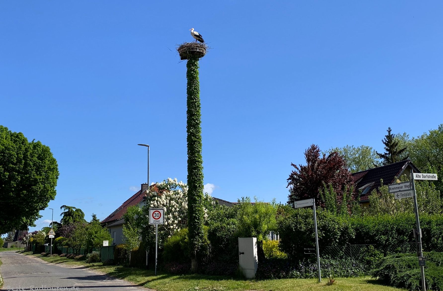 Foto vom Radweg aus: Groß Ziethen Zentrum, Storchennest mit Storch