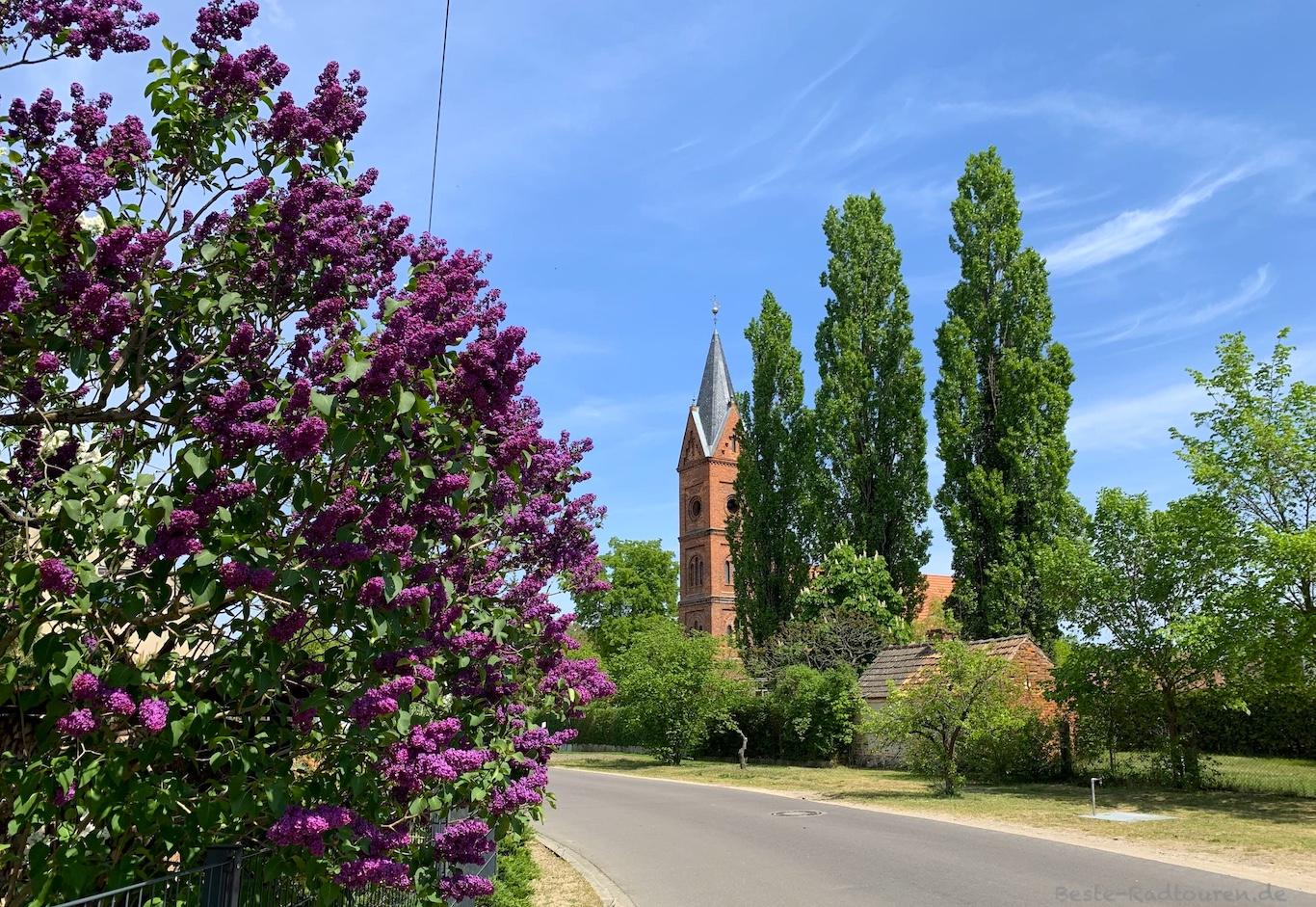 Bild von weitem: Dorfkirche Pretschen, Märkische Heide, Dahme-Spreewald