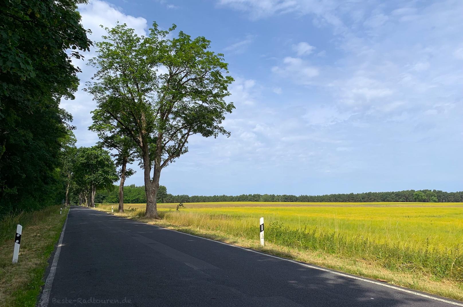 Foto vom Radweg aus: Straße von Eichholz bis Kehrigk