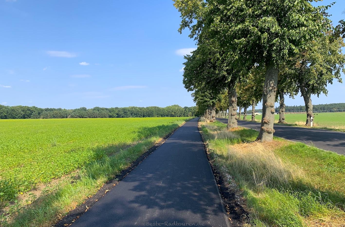 Foto vom Dahmeradweg aus: Radweg zwischen Prensdorf und Görsdorf