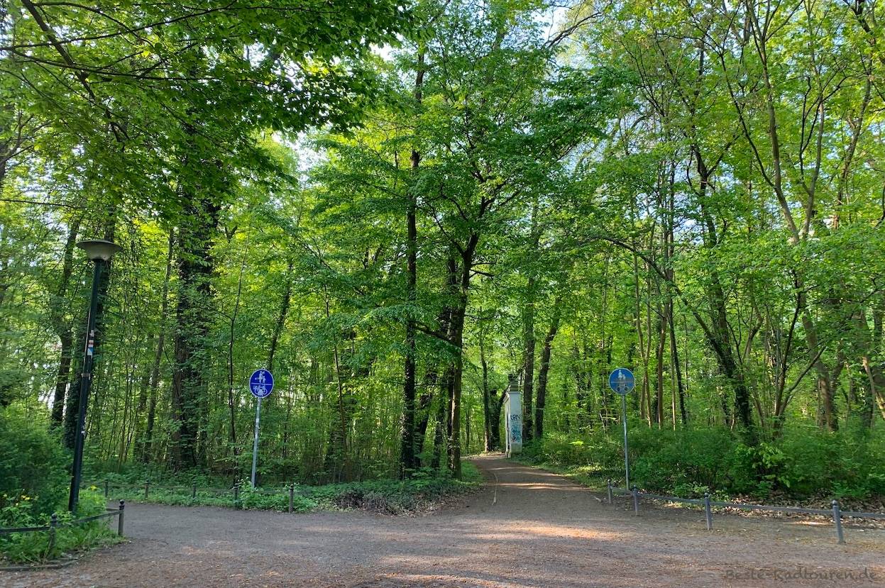 Foto vom Niederlausitz-Spreewald-Radweg aus: Der Hain, Stadtpark bzw. Stadtwald Lübben