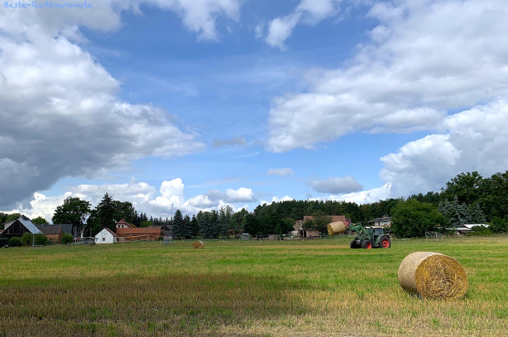 Foto vom Radweg aus: Landwirtschaft in Klein Leine (Märkische Heide)