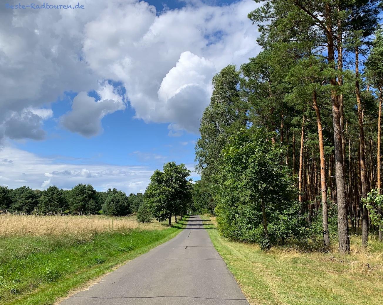 Foto vom Radweg aus: Fahrradstraße zwischen Neuendorf am See und Groß Eichholz