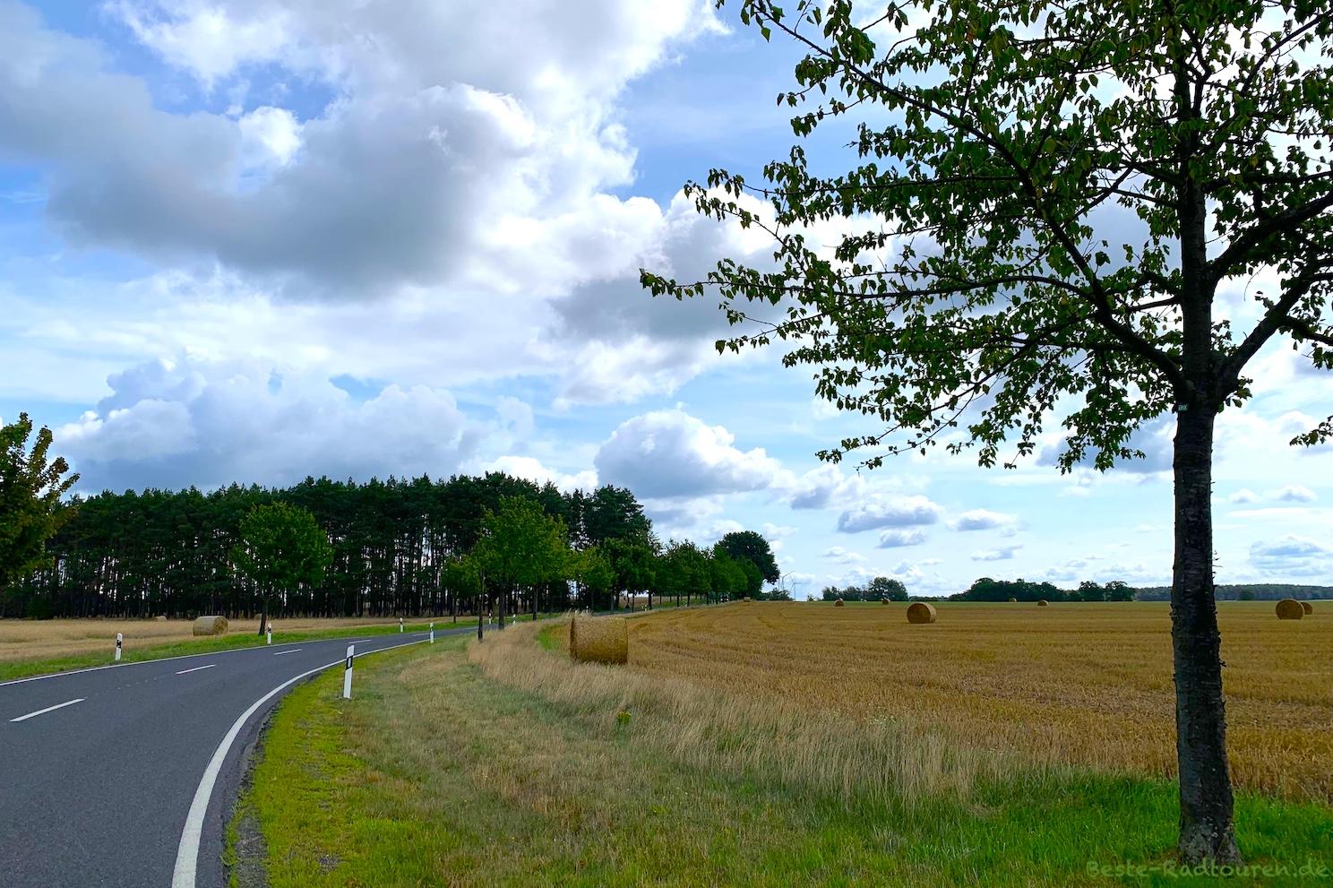 Foto vom Süden her: Radweg von Briesensee bis Klein Leine