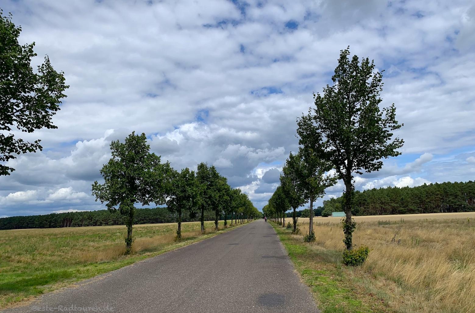 Foto vom Radweg aus: Landstraße von Kuschkow bis Pretschen