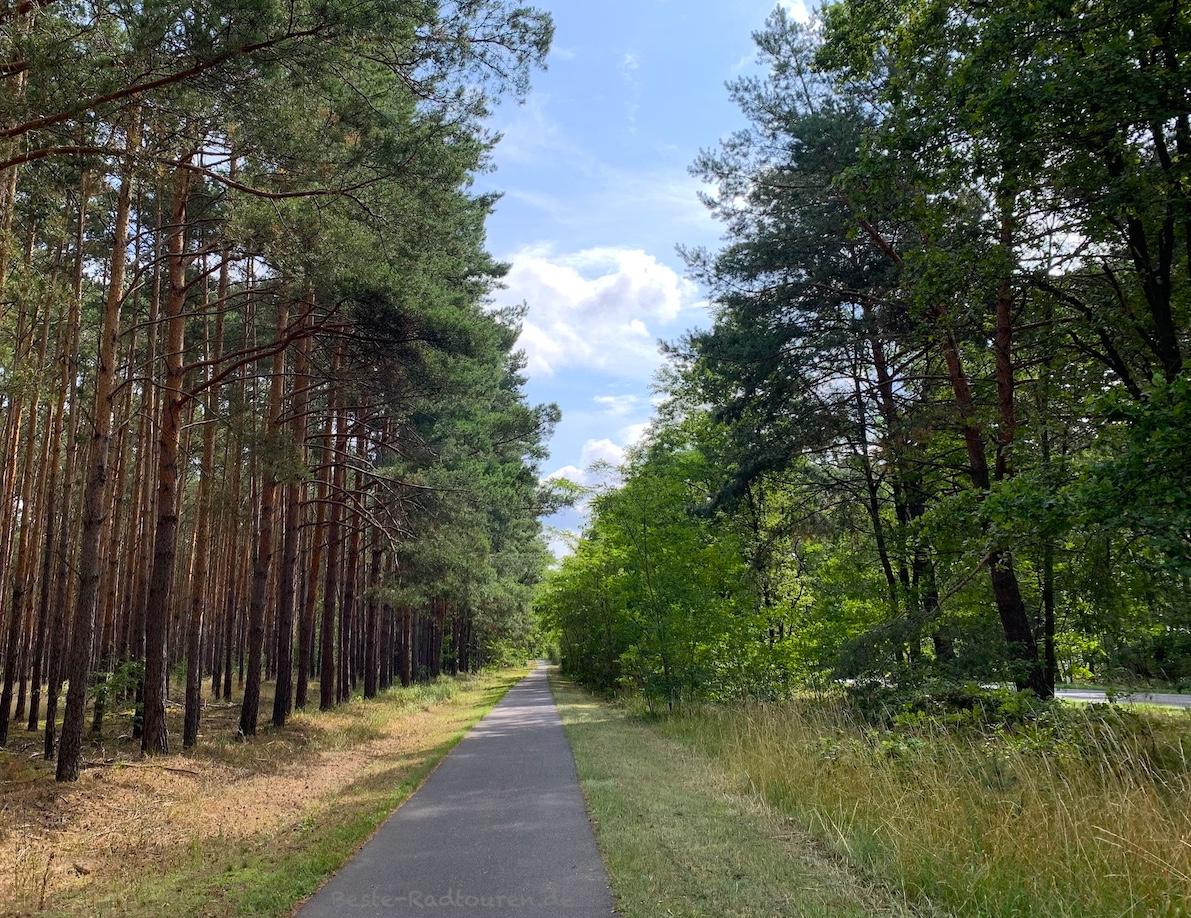 Foto vom Westen her: Radweg ab Lübben nach Radensdorf