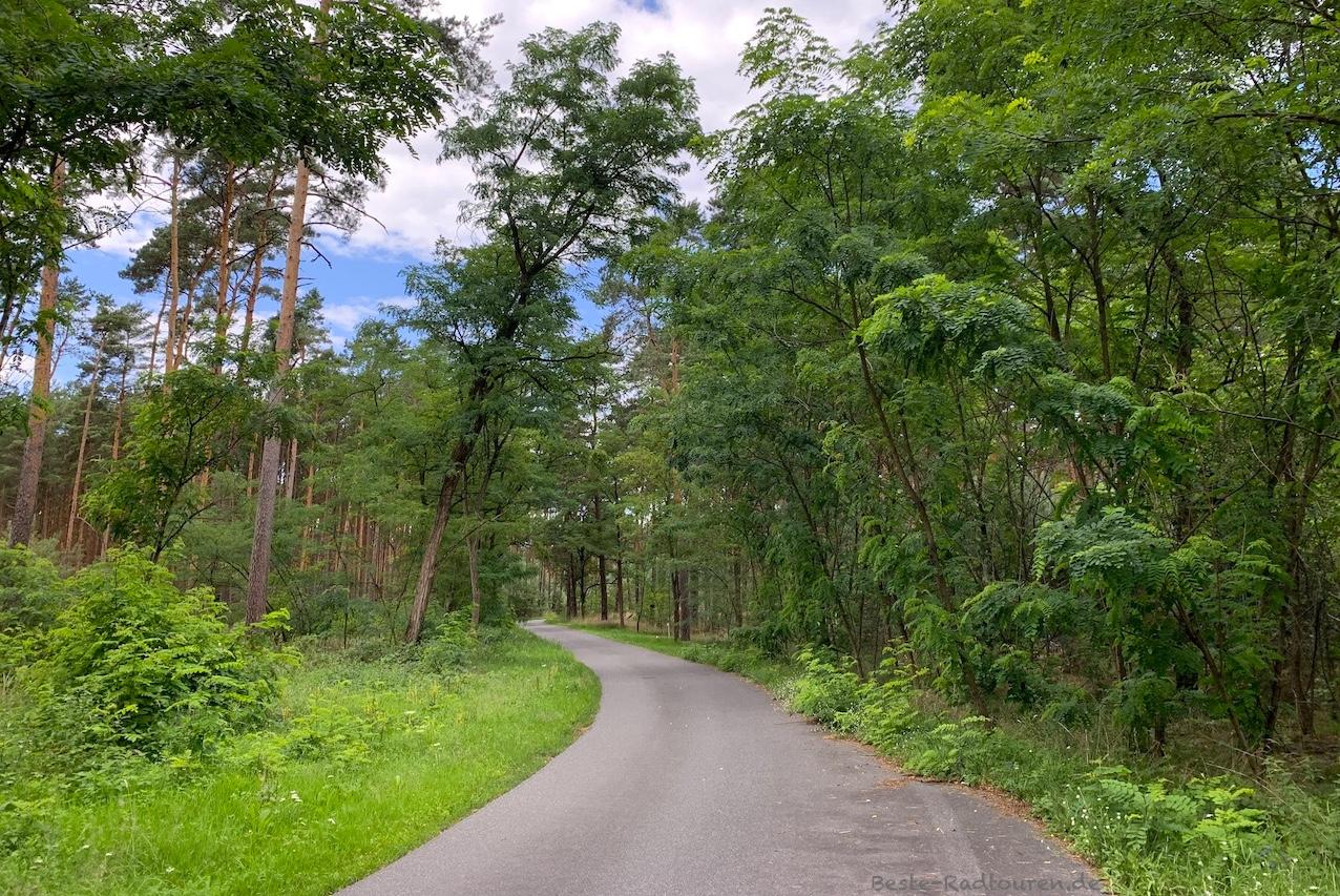Foto vom Radweg aus: Fahrradstraße zwischen Neuendorf am See und Groß Eichholz