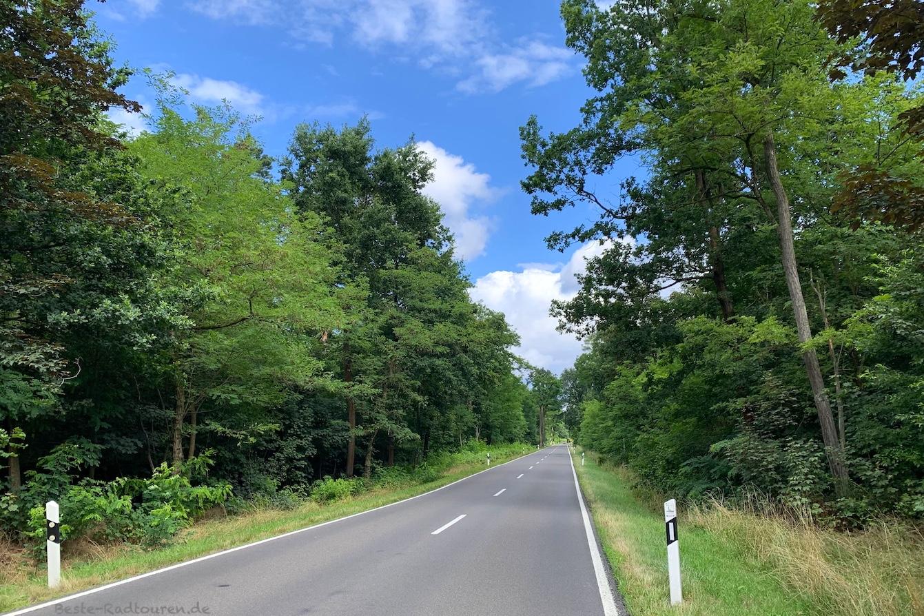 Foto vom Radweg aus: Straße von Bugk bis Storkow