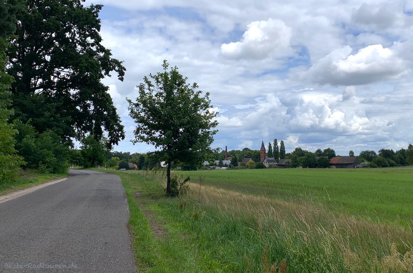Foto vom Süden her: Radweg südlich Pretschen (Märkische Heide)