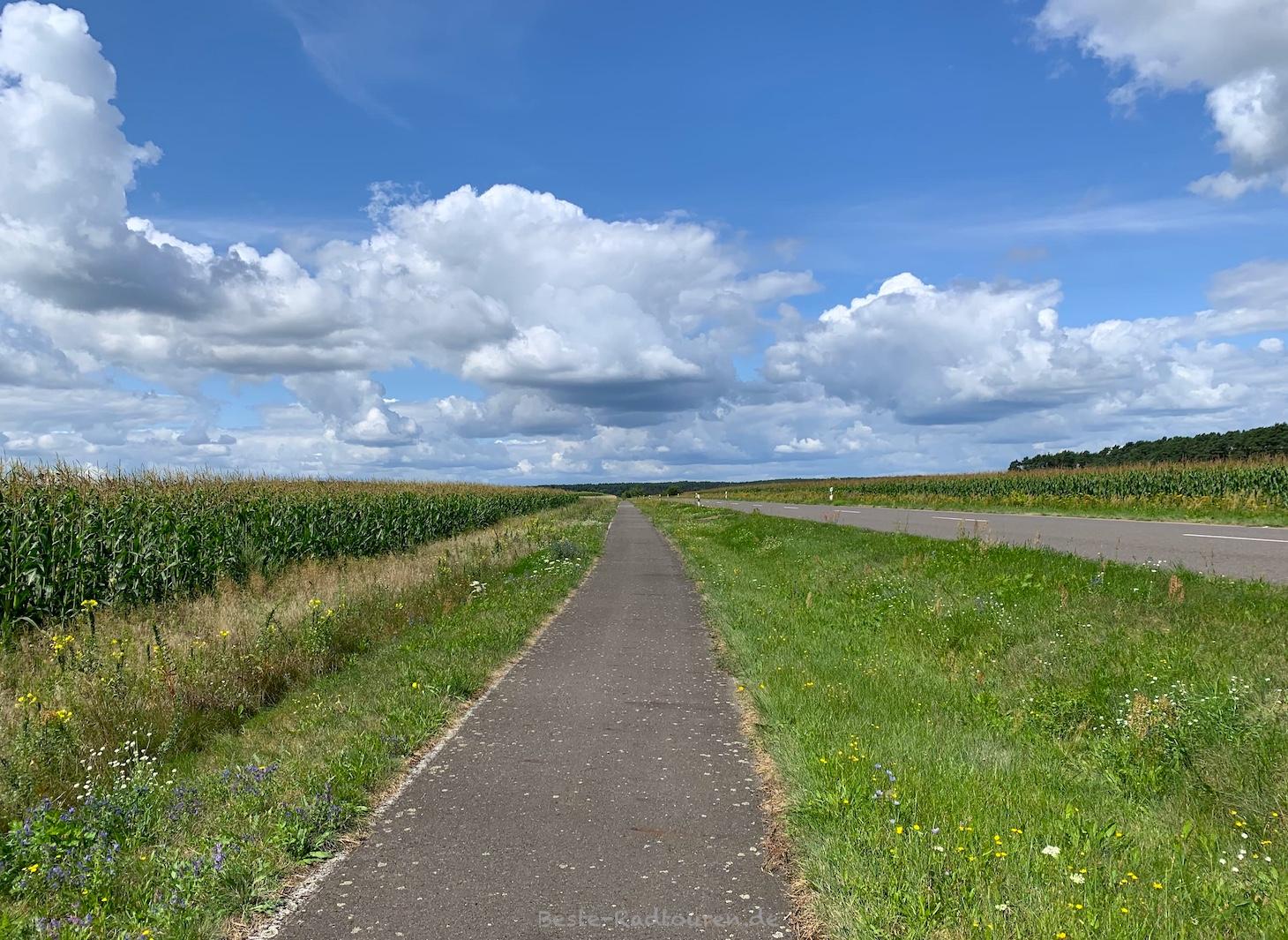 Foto vom Gurkenradweg aus: Radweg zwischen Groß Leuthen und Krugau