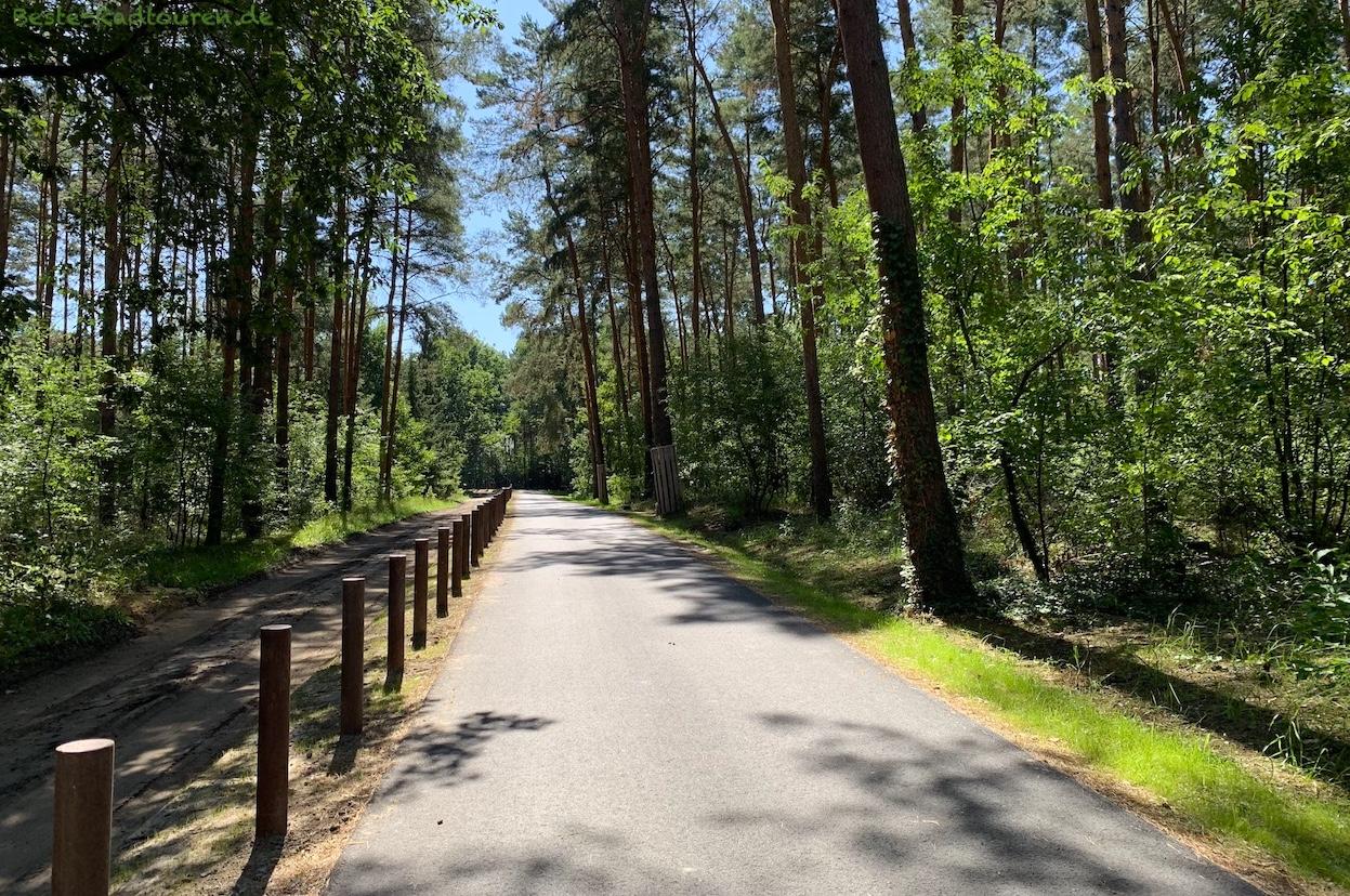 Foto vom Spreeradweg aus: Erneuerung / Sanierung Radweg zwischen Erkner-Karutzhöhe Hohenbinde / Jägerbude