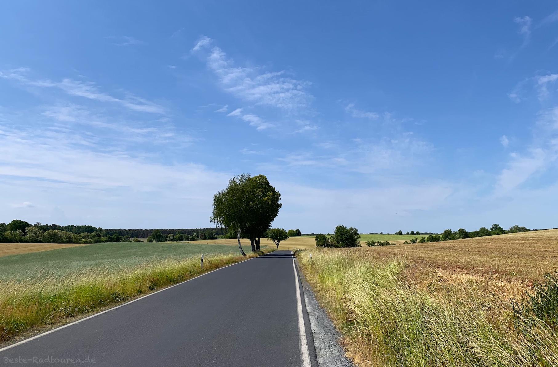 Foto vom Radweg bzw der Landstraße aus: Landschaft südlich von Ortrand