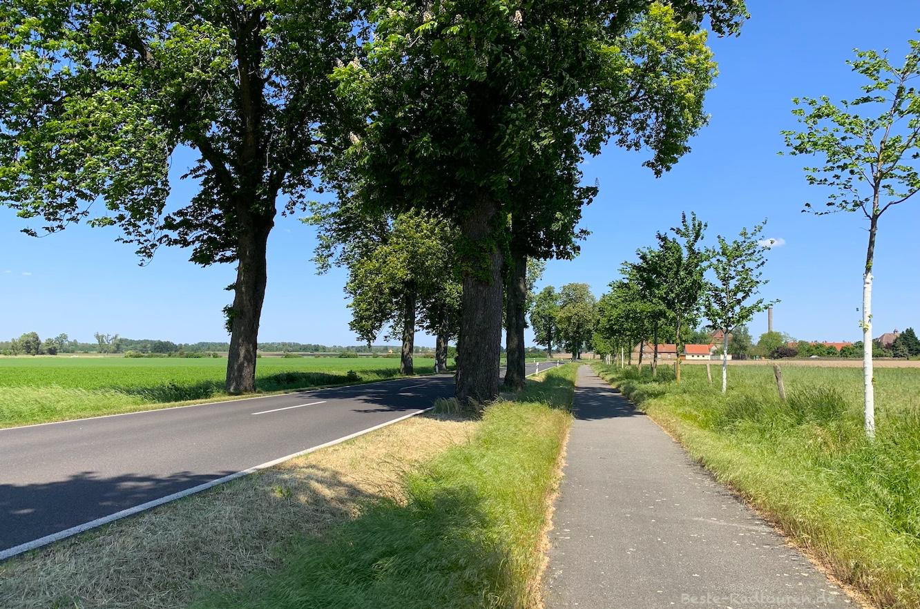 Foto von der Fontane-Rad-Route aus: Straße von Barnewitz nach Buschow