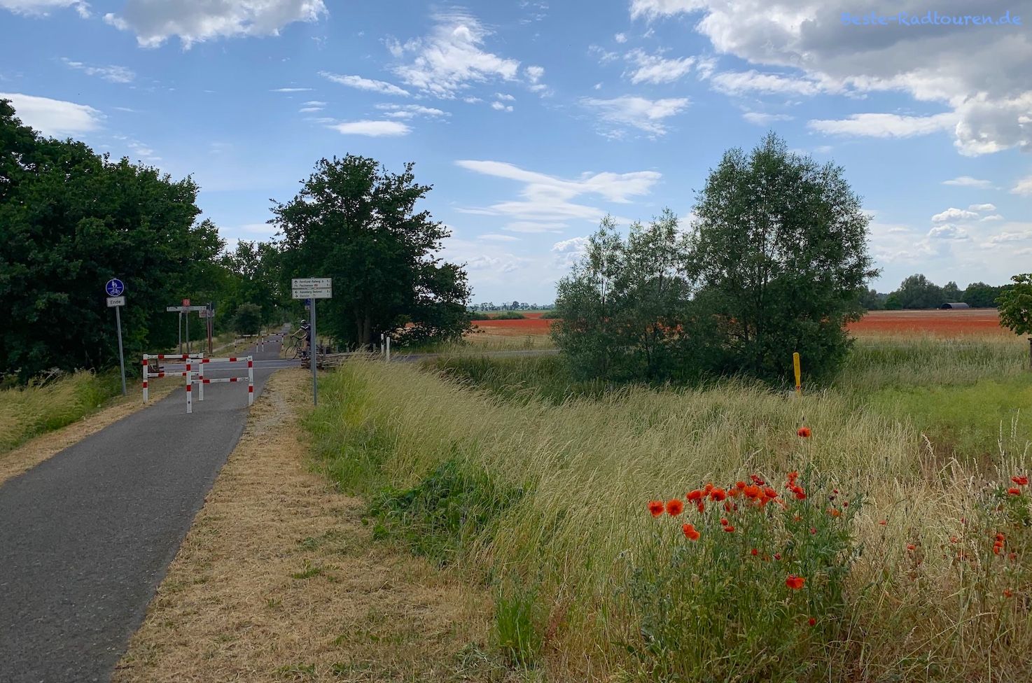 Foto von Fontane-Radroute und Stille-Pauline-Radweg aus: Radwanderweg bei Betzin