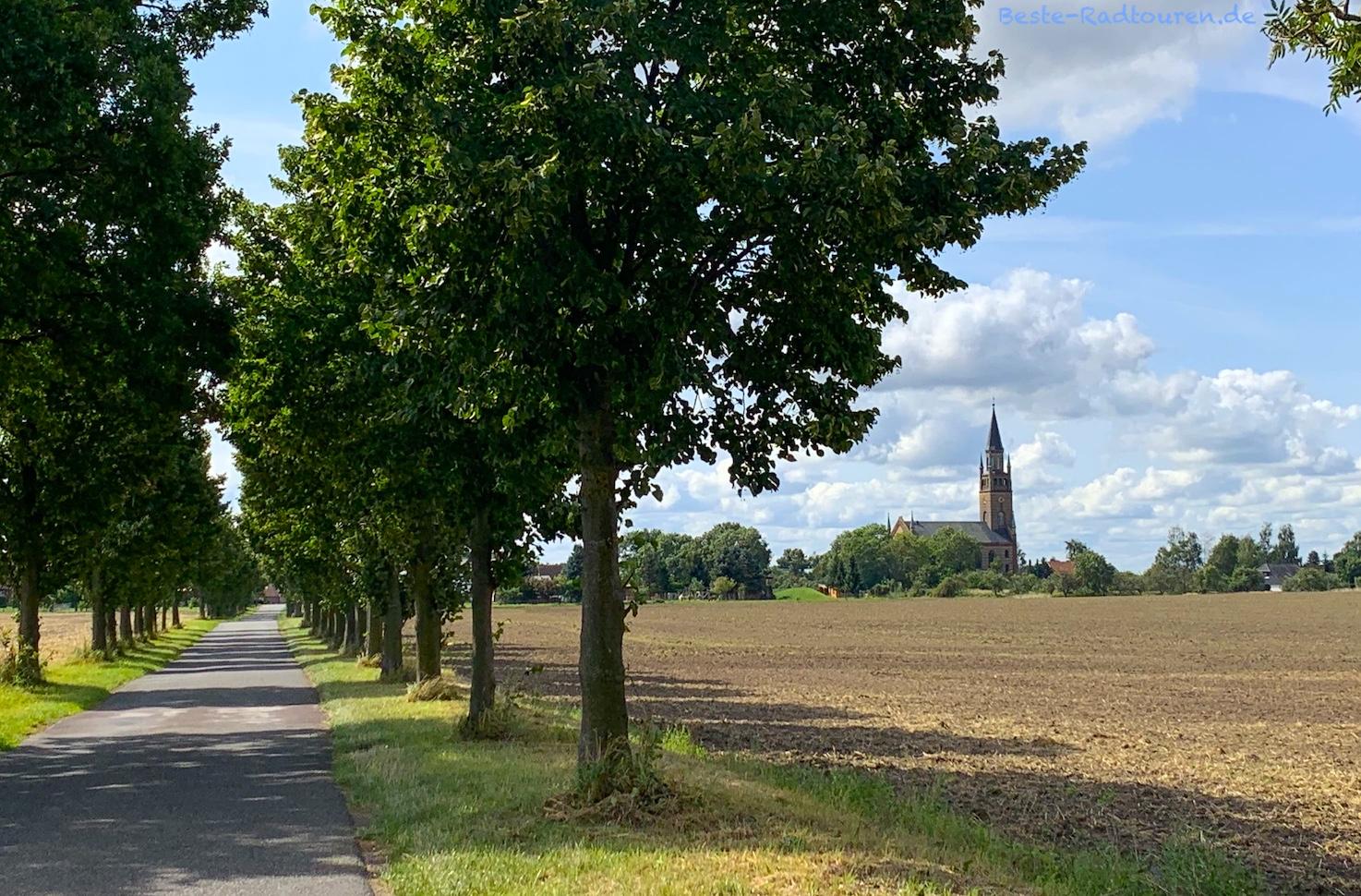 Foto vom Theodor-Fontane-Radweg aus: Weg von Langen nach Buskow