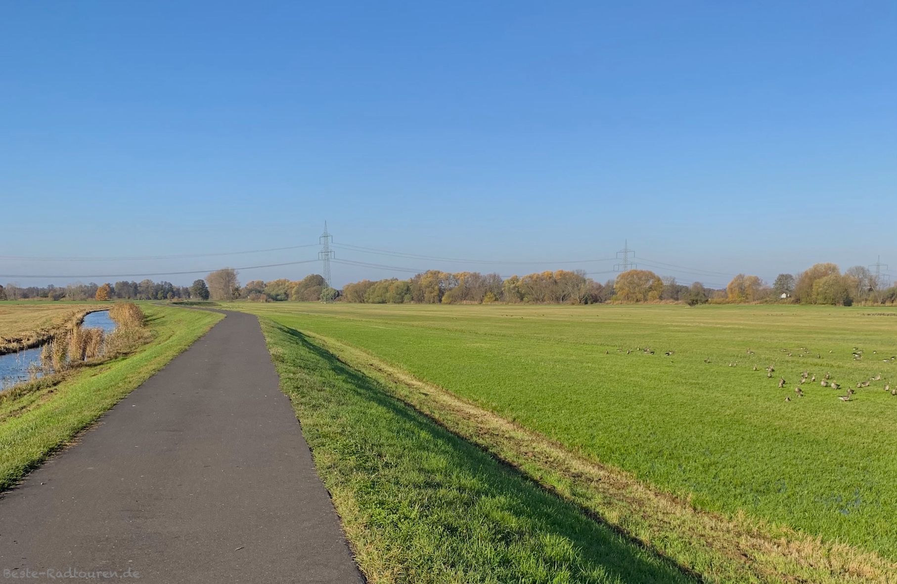 Foto vom Havel-Radweg aus: Fahrradstraße zwischen Schmergow und Phöben, Höhe Ketzin